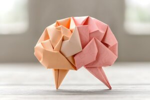 neuroplasticity. the flexible brain