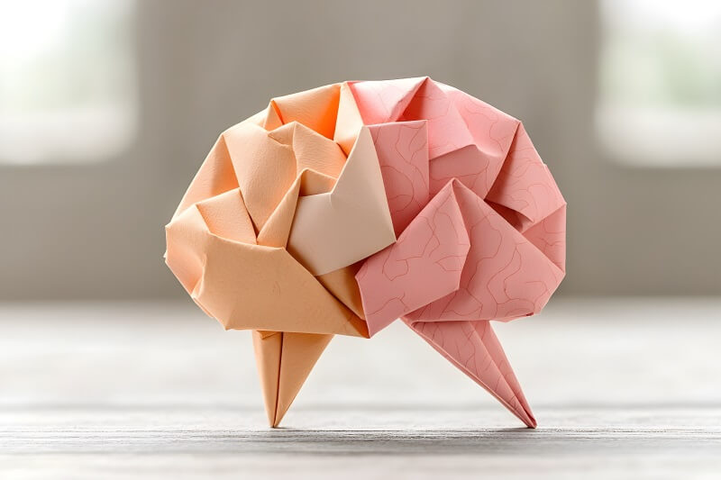 neuroplasticity. the flexible brain