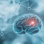 cognitive decline in the elderly