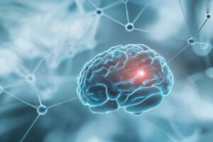 cognitive decline in the elderly